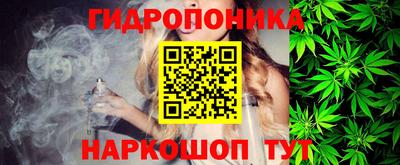 PSILOCYBIN Пушкино