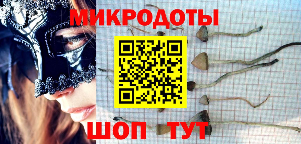 Галлюциногенные грибы Cubensis Острогожск