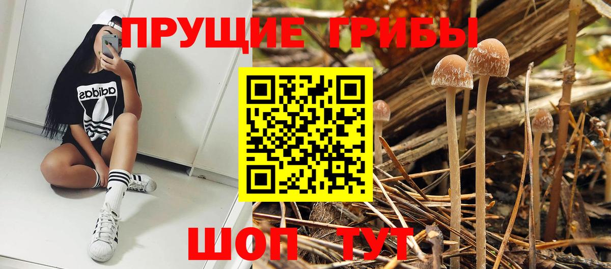 Галлюциногенные грибы Magic Shrooms  сколько стоит  Острогожск  Вход с VPN 